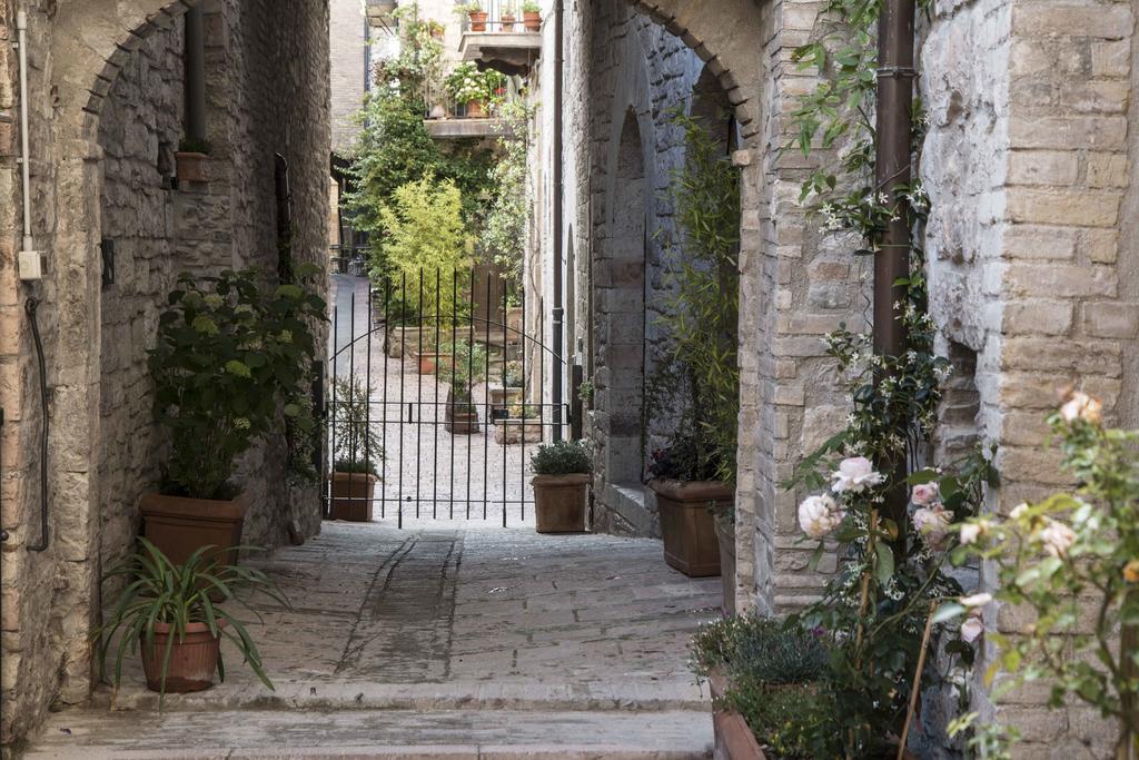Residenza La Corte Assisi Eksteriør billede
